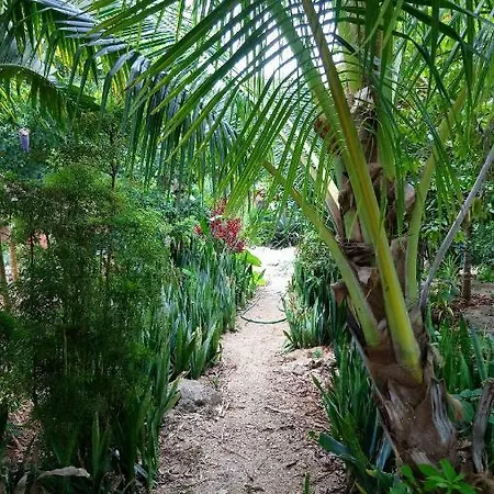 Jungle Oasis Villa